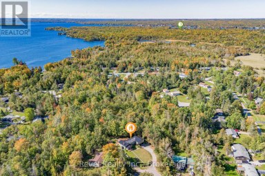 12 ALPINE CRESCENT Trent Lakes Ontario photo 45