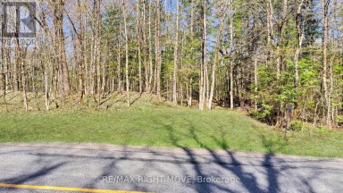 2731 SOUTHWOOD ROAD Gravenhurst (Wood (Gravenhurst)) Ontario photo 2