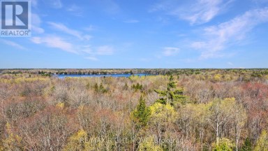 2731 SOUTHWOOD ROAD Gravenhurst (Wood (Gravenhurst)) Ontario photo 6