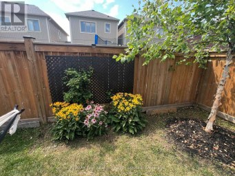24 BARFOOT STREET Collingwood Ontario photo 36