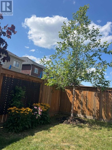 24 BARFOOT STREET, Collingwood, Ontario, L9Y3Y8