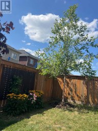 24 BARFOOT STREET Collingwood Ontario photo 37