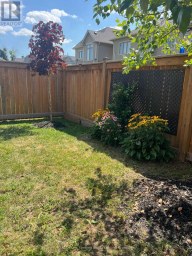 24 BARFOOT STREET Collingwood Ontario photo 39