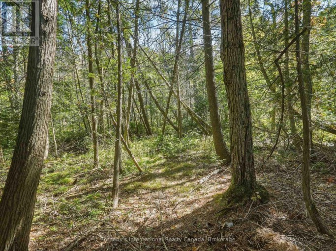 0 BAYVIEW ACRES, Lake of Bays (Mclean), Ontario, P0B1A0