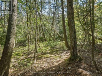 0 BAYVIEW ACRES Lake of Bays (Mclean) Ontario photo 12