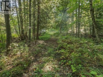0 BAYVIEW ACRES Lake of Bays (Mclean) Ontario photo 17