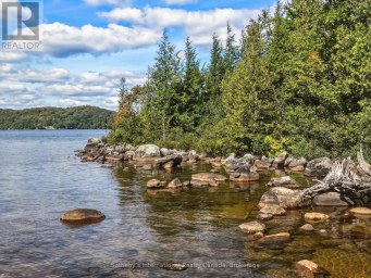0 BAYVIEW ACRES Lake of Bays (Mclean) Ontario photo 26