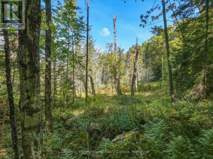 0 BAYVIEW ACRES, Lake of Bays (Mclean), Ontario, P0B1A0