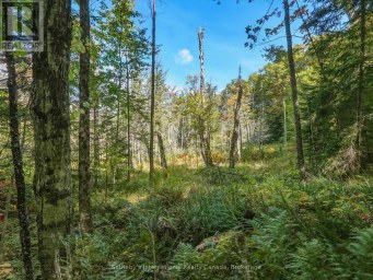 0 BAYVIEW ACRES Lake of Bays (Mclean) Ontario photo 8