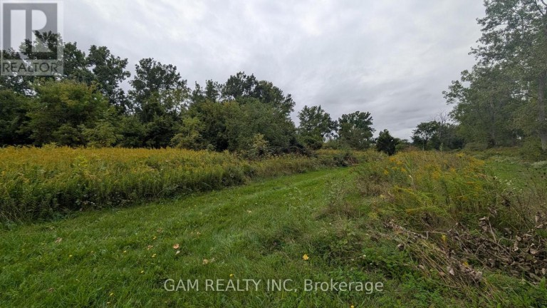 V/L COUNTY ROAD 46 ROAD, Lakeshore, Ontario, N0P1J0