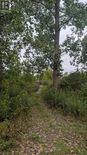 V/L COUNTY ROAD 46 ROAD, Lakeshore, Ontario, N0P1J0