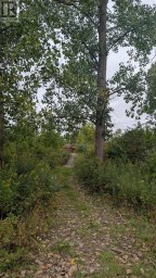 V/L COUNTY ROAD 46 ROAD Lakeshore Ontario photo 11