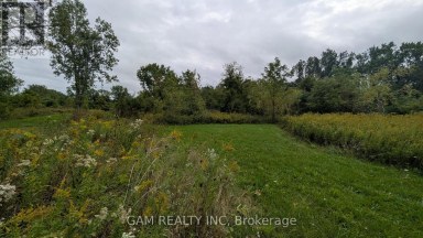 V/L COUNTY ROAD 46 ROAD Lakeshore Ontario photo 3