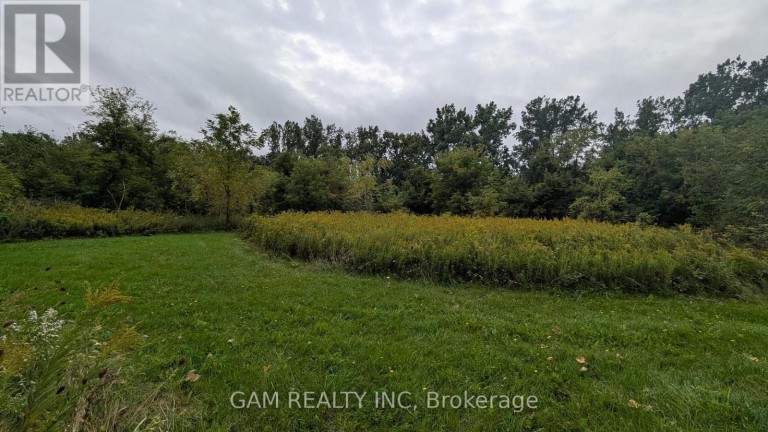 V/L COUNTY ROAD 46 ROAD, Lakeshore, Ontario, N0P1J0