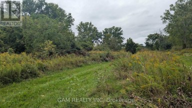 V/L COUNTY ROAD 46 ROAD Lakeshore Ontario photo 6