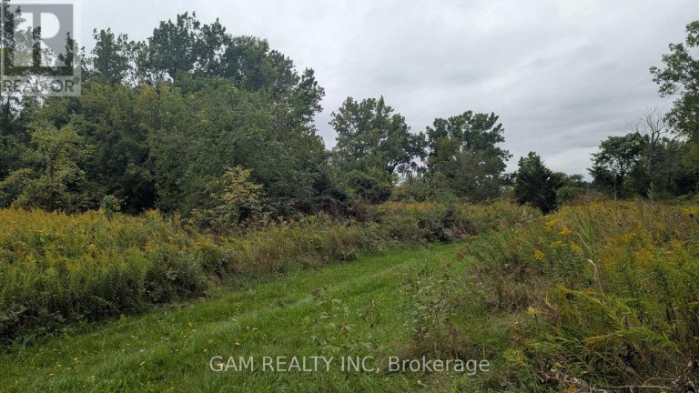 V/L COUNTY ROAD 46 ROAD, Lakeshore, Ontario, N0P1J0