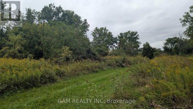 V/L COUNTY ROAD 46 ROAD Lakeshore Ontario photo 7
