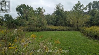 V/L COUNTY ROAD 46 ROAD Lakeshore Ontario photo 8