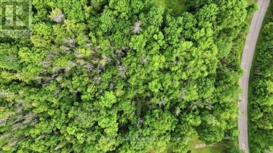 0 SWINBURNE LANE Stirling-Rawdon (Rawdon Ward) Ontario photo 12