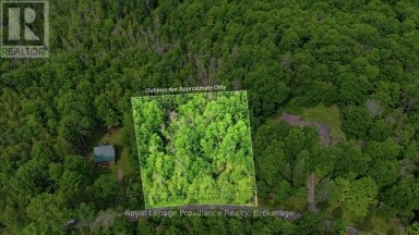 0 SWINBURNE LANE Stirling-Rawdon (Rawdon Ward) Ontario photo 3