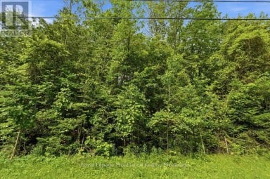 0 SWINBURNE LANE Stirling-Rawdon (Rawdon Ward) Ontario photo 4