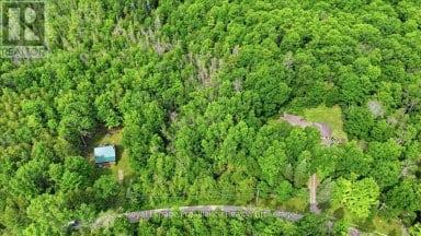 0 SWINBURNE LANE Stirling-Rawdon (Rawdon Ward) Ontario photo 7