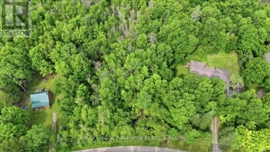 0 SWINBURNE LANE Stirling-Rawdon (Rawdon Ward) Ontario photo 8