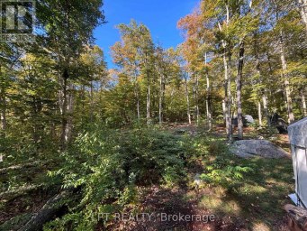 0 ISLAND LAKE, LOT 23 ROAD Kearney Ontario photo 7