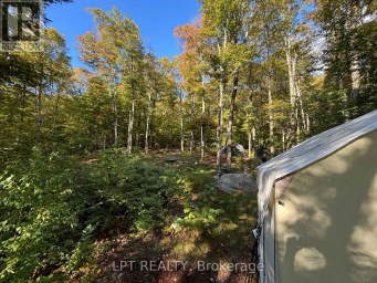 0 ISLAND LAKE, LOT 23 ROAD Kearney Ontario photo 8