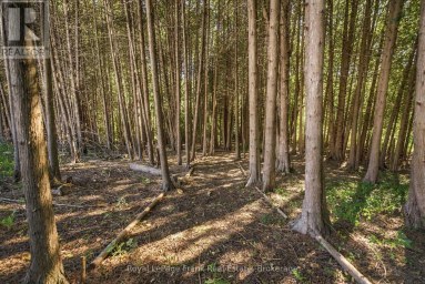 2223 Concession Road 7 Road, Clarington Ontario