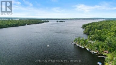 25 SUGARBUSH BOULEVARD Trent Lakes Ontario photo 36