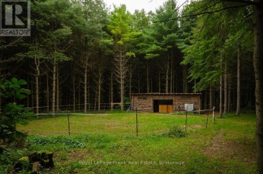 15032 TELEPHONE ROAD Brighton Ontario photo 33