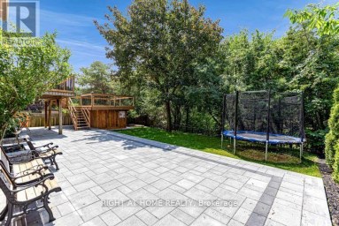 35 HARMONY HILL CRESCENT Richmond Hill (Mill Pond) Ontario photo 4