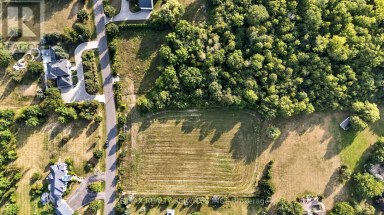 21 BELLINI AVENUE Brampton (Toronto Gore Rural Estate) Ontario photo 19