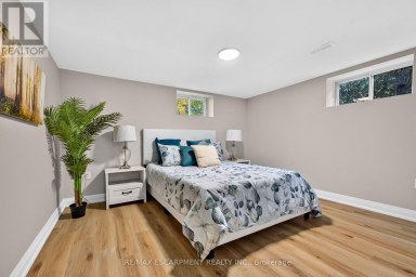 362 ROSSEAU ROAD Hamilton (Rosedale) Ontario photo 40