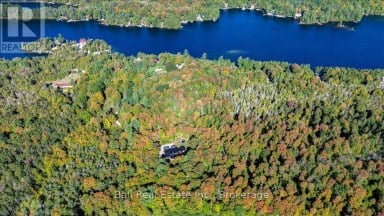 95 WOODLAND ROAD North Kawartha Ontario photo 48