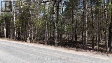 TBD GLAMOR LAKE ROAD Highlands East (Monmouth) Ontario photo 4