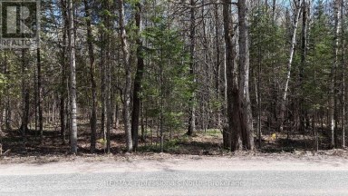TBD GLAMOR LAKE ROAD Highlands East (Monmouth) Ontario photo 5
