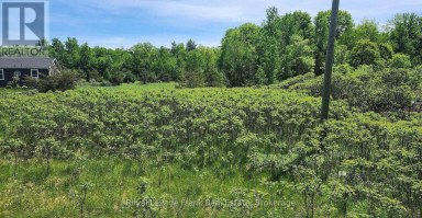 LOT 14 TRENT RIVER ROAD Trent Hills Ontario photo 1