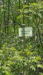 LOT 14 TRENT RIVER ROAD Trent Hills Ontario photo 2
