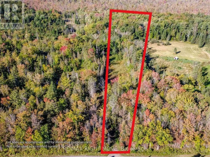 1223 SOUTHWOOD ROAD, Gravenhurst (Morrison), Ontario, P0E1N0