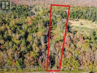 1223 SOUTHWOOD ROAD Gravenhurst (Morrison) Ontario photo 1