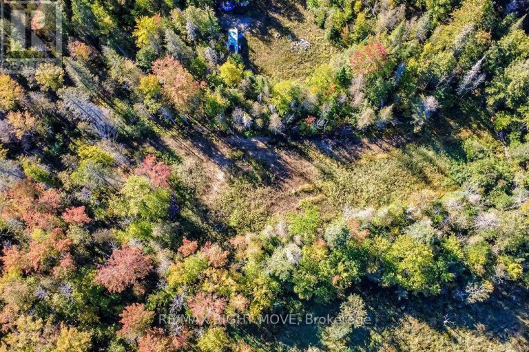 1223 SOUTHWOOD ROAD, Gravenhurst (Morrison), Ontario, P0E1N0