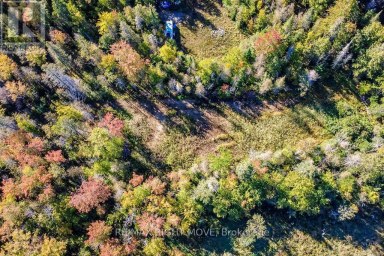 1223 SOUTHWOOD ROAD Gravenhurst (Morrison) Ontario photo 10