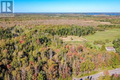 1223 SOUTHWOOD ROAD Gravenhurst (Morrison) Ontario photo 13