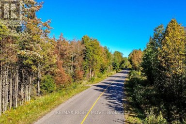 1223 SOUTHWOOD ROAD Gravenhurst (Morrison) Ontario photo 2