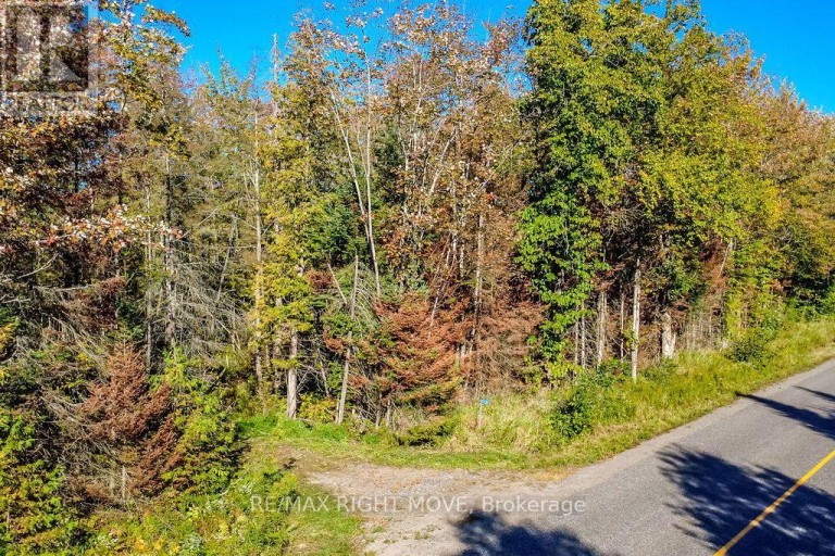 1223 SOUTHWOOD ROAD, Gravenhurst (Morrison), Ontario, P0E1N0