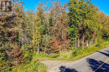 1223 SOUTHWOOD ROAD Gravenhurst (Morrison) Ontario photo 3