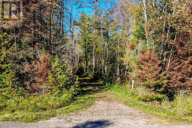 1223 SOUTHWOOD ROAD, Gravenhurst (Morrison), Ontario, P0E1N0