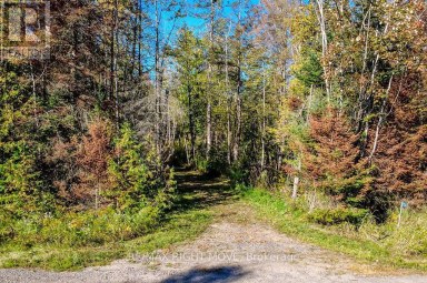 1223 SOUTHWOOD ROAD Gravenhurst (Morrison) Ontario photo 4